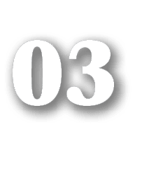 03