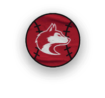 A collection of six different images, including a dog, a hand, a letter, a number, a football, and a hat. AI generated content