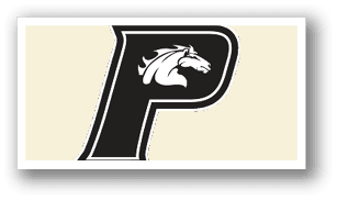A black and white logo of a horse with the letter P on it. AI generated content