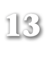 13