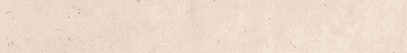 A blank sheet of paper with the words “Coach Bios" written at the top. AI generated content