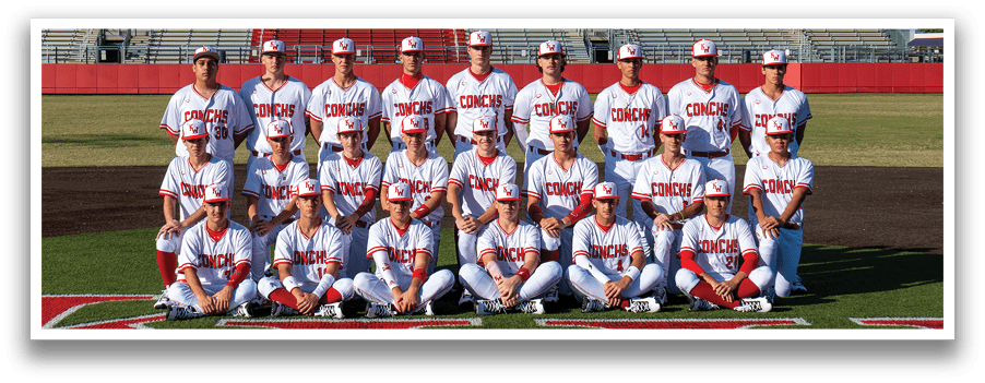 A baseball team poses for a photo on the field. AI generated content