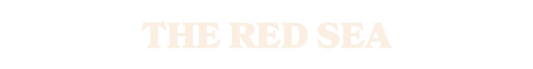 the red sea
