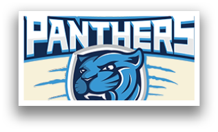 A blue and white logo for the Somerset Panthers. Description generated by AI