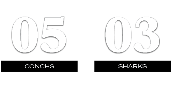 03,05,SHARKS,CONCHS