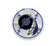 A collection of stickers and decals with the name “LincIndians" on them. AI generated content