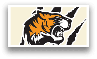 A white and orange tiger head logo. Description generated by AI