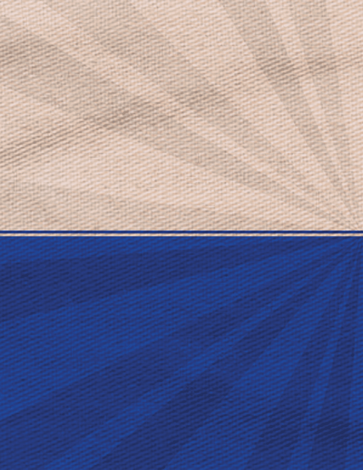 A blue and white striped flag with a sun in the middle. AI generated content