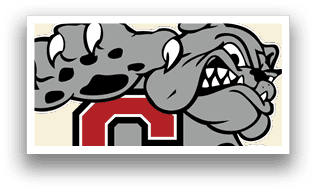 A pirate logo with a sword in its mouth. Description generated by AI