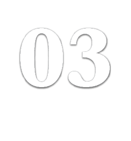 03