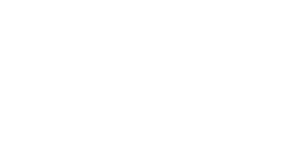 DAN COLUCCI VARSITY HEAD COACH Shauna Hogan VARSITY LIAISON Gina Gattuso VARSITY LIAISON & PHOTOS Heather Nelson VARS...