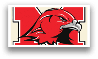 A red bird with a black beak and a white chest. AI generated content