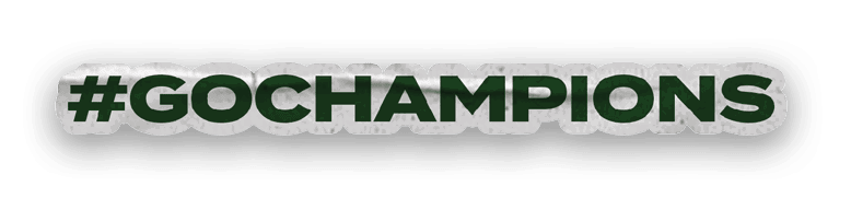 A collection of stickers, including one that says “Champions" and another that says "Illinois". AI generated content