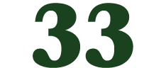33