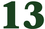 13