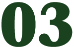03
