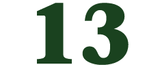 13