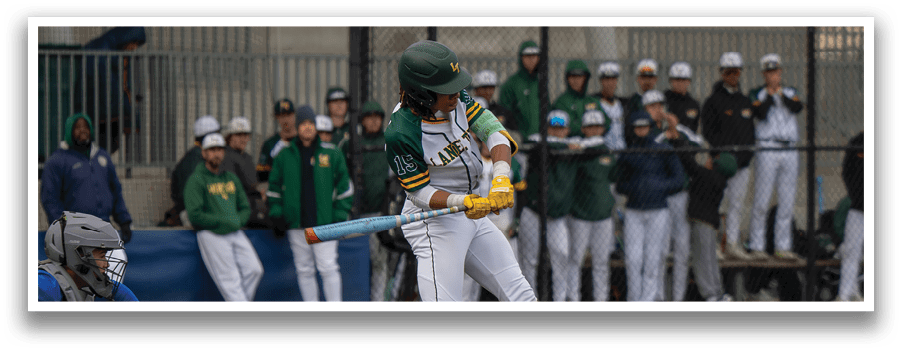 A baseball player is swinging a bat on a field, with a crowd of people watching from the stands. AI generated content
