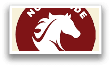 A logo for Northside College Prep. Description generated by AI