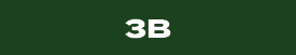 3b