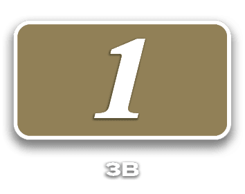 1,3b