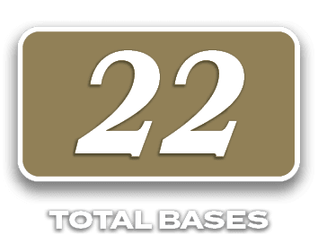 22,total bases