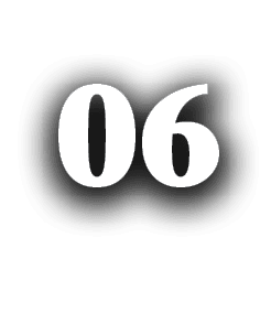 06