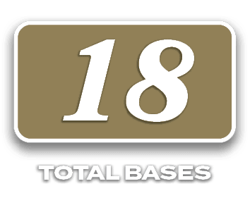 18,total bases