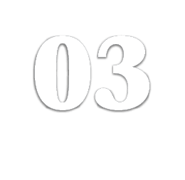03