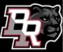 A black and white logo of a paw with the letter R in red. AI generated content