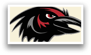 A black bird with a red beak. Description generated by AI