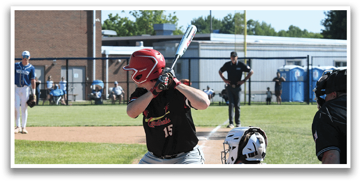 A baseball player in a red shirt and white pants holding a bat. Description generated by AI
