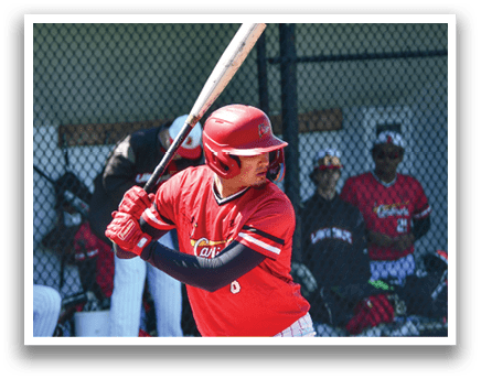 A baseball player in a red shirt and white pants holding a bat. Description generated by AI