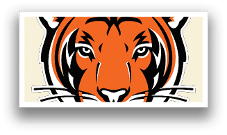 A tiger's face with orange and black stripes. Description generated by AI