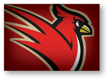 A red bird with a white chest. Description generated by AI