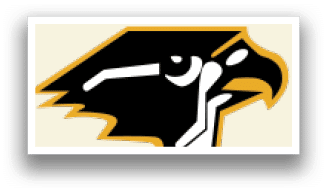 A bird with a yellow beak. Description generated by AI