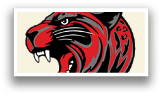 A red and black tiger head. Description generated by AI