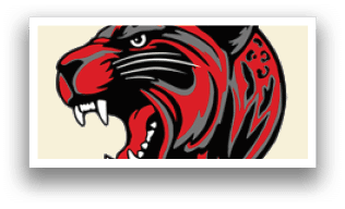 A red and black tiger head. Description generated by AI