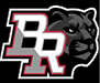 A black and white logo of a paw with the letter R in red. AI generated content