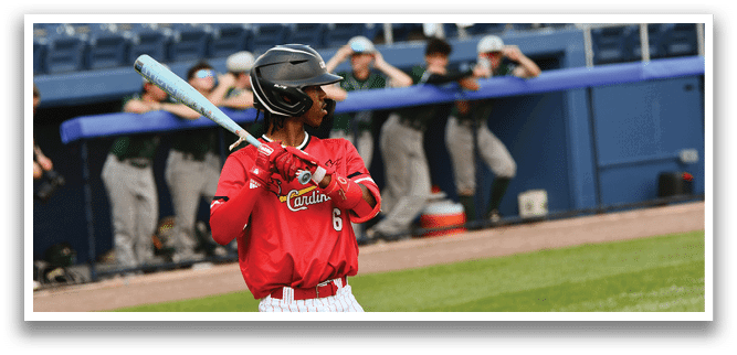A baseball player holding a bat. Description generated by AI