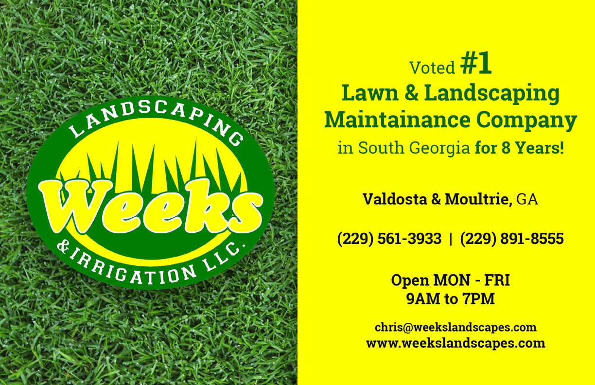 $$$/StateType/Normal