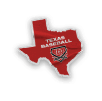 A collection of logos and images, including a pirate logo and a Texas flag. AI generated content