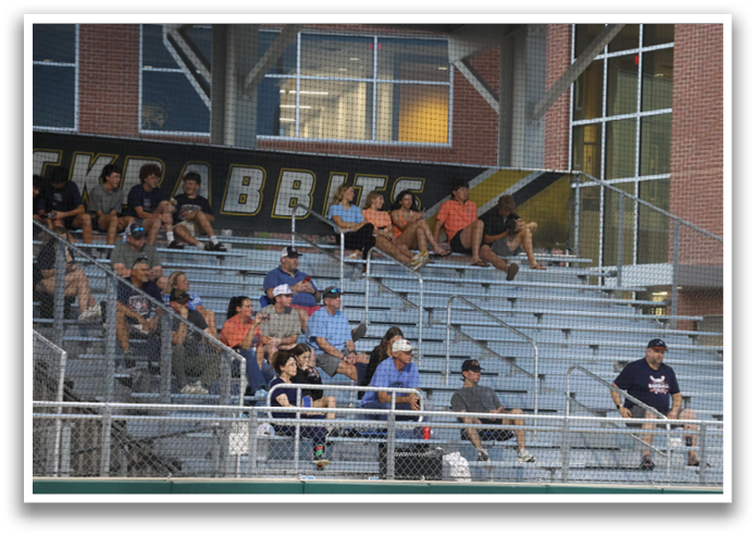 A group of people are sitting in the stands of a baseball stadium. Contenido generado con IA