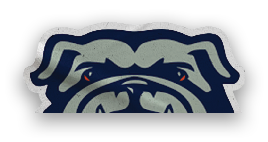 A collection of stickers featuring a bulldog mascot and a baseball. AI generated content