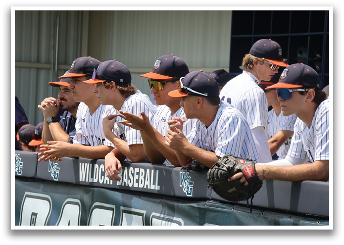 Baseball players wearing blue and white uniforms are sitting on a bench. Contenido generado con IA