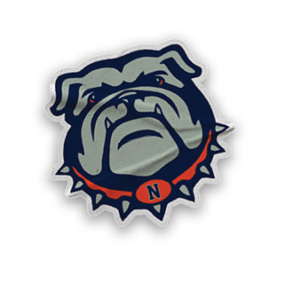 A collection of sports merchandise, including a baseball glove, a dog mascot, and a baseball. AI generated content