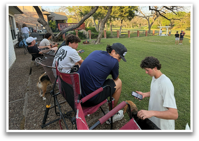 A group of people are sitting on chairs in a yard, with a dog nearby. They are watching a game of frisbee. Contenido generado con IA