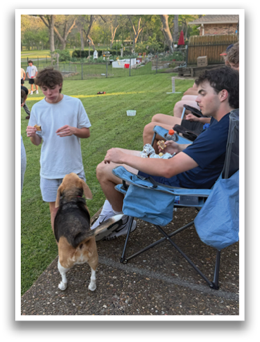 A group of people are standing in a grassy area, with one person holding a dog on a leash. There are several chairs and a backpack in the scene. Contenido generado con IA