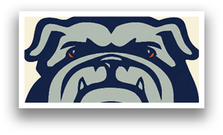 A bulldog mascot with a blue collar and the letters N and E on its chest. AI generated content