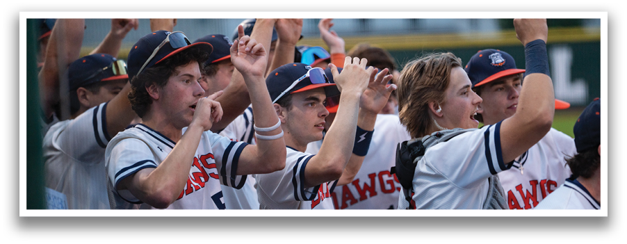 A group of baseball players are celebrating a victory. Contenido generado con IA